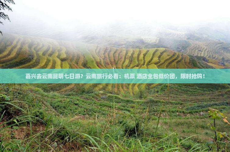 嘉兴去云南昆明七日游？云南旅行必看：机票+酒店全包低价团，限时抢购！