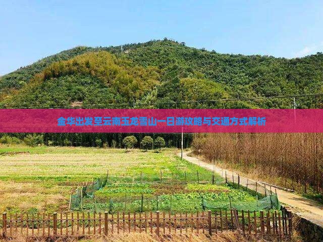 金华出发至云南玉龙雪山一日游攻略与交通方式解析