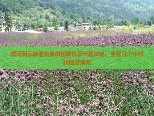 漯河到云南温泉旅游团报价及行程攻略，全程几个小时跟团游指南