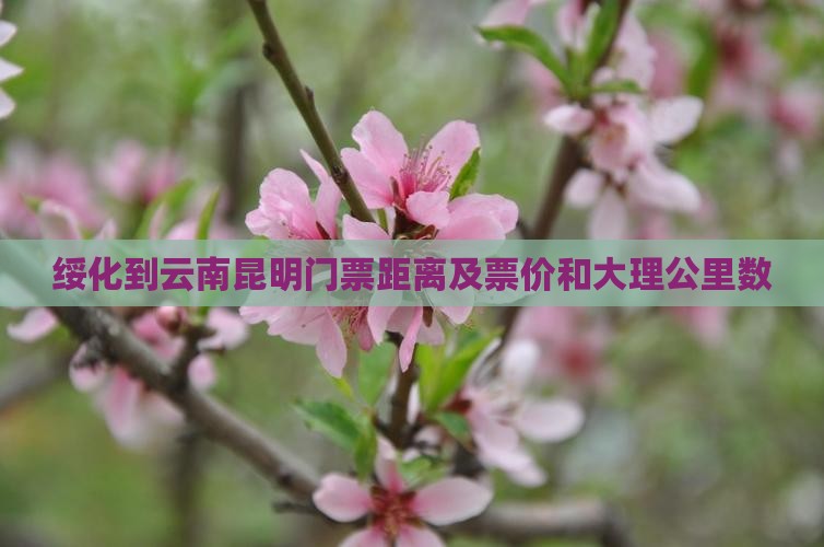 绥化到云南昆明门票距离及票价和大理公里数