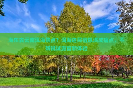 海东去云南洱海景点？洱海边民宿爆满成痛点，不妨试试露营新体验