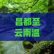 昌都至云南温泉度假旅游路线自由团探险之旅