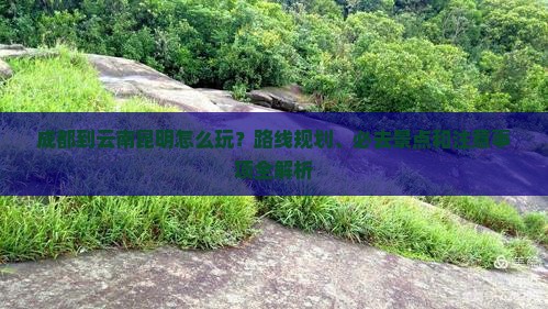 成都到云南昆明怎么玩？路线规划、必去景点和注意事项全解析