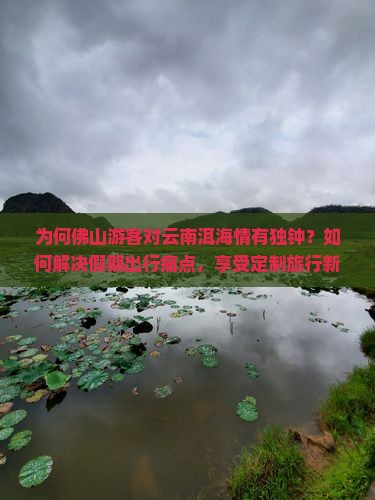 为何佛山游客对云南洱海情有独钟？如何解决假期出行痛点，享受定制旅行新体验？