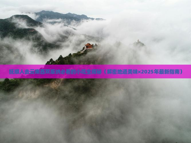 抚顺去云南西双版纳旅游小吃