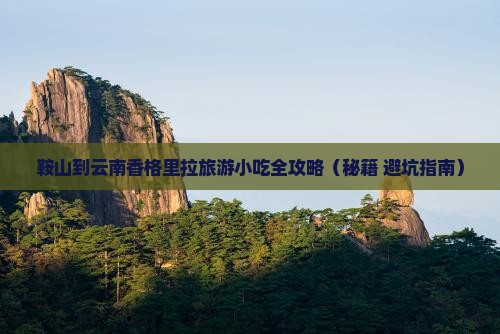 鞍山到云南香格里拉旅游小吃