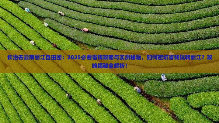 长治去云南丽江自由团