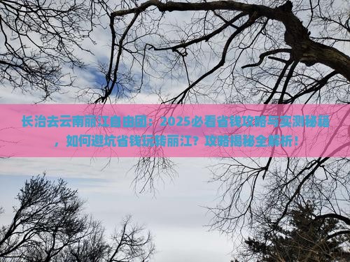 长治去云南丽江自由团