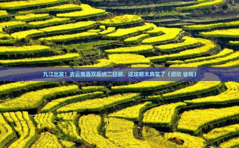 九江去云南西双版纳二日游