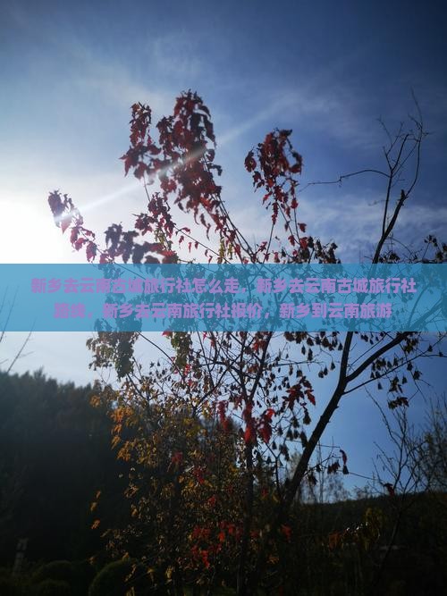 新乡去云南古城旅行社