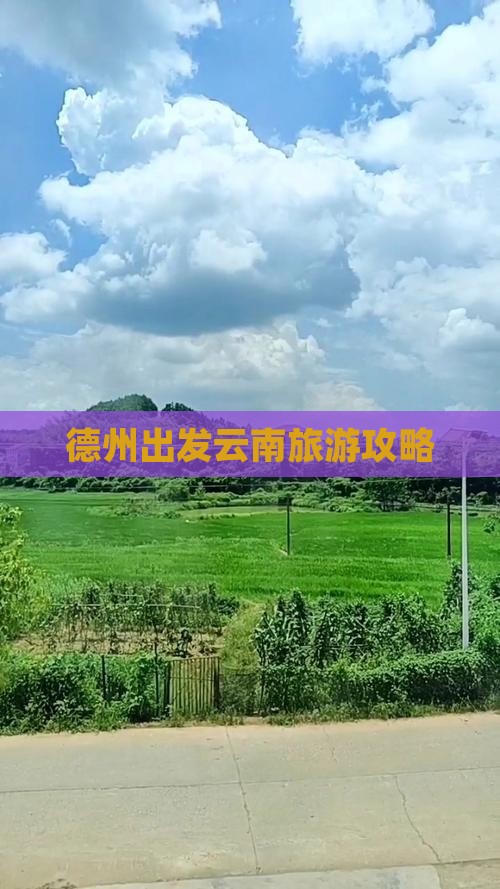 德州到云南一日