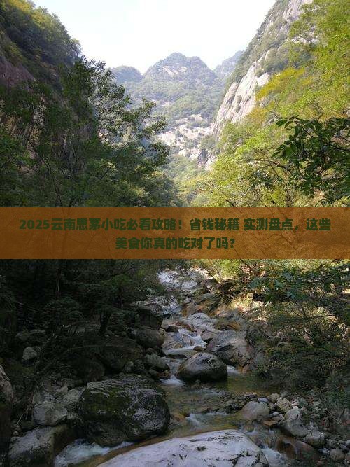 思茅去云南旅游小吃