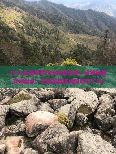 思茅去云南旅游小吃