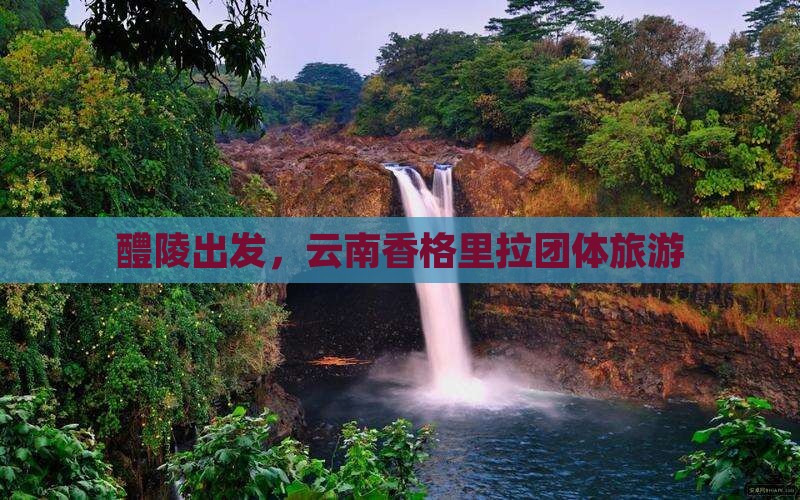 醴陵去云南香格里拉团体旅游