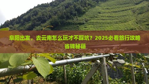 阜阳到云南旅游