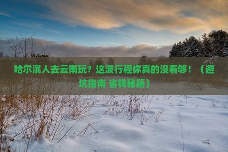 哈尔滨去云南团体旅游