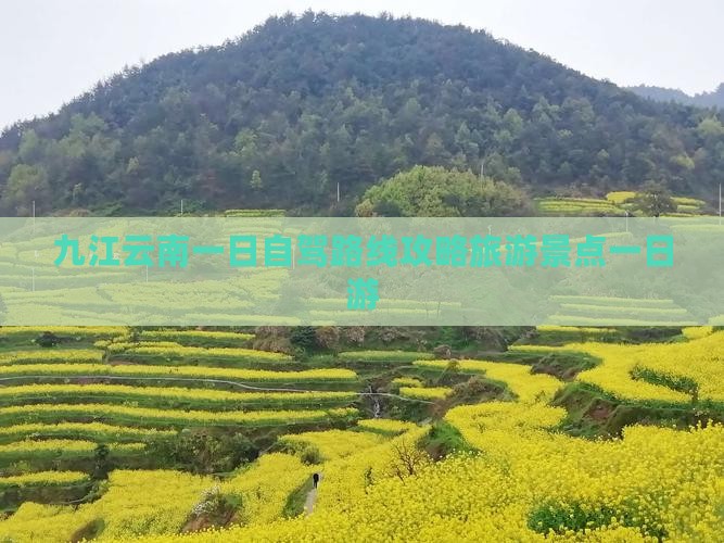 九江去云南一日