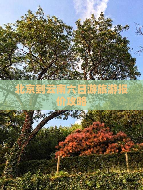 北京到云南六日游