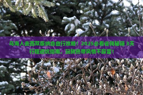 乌海市去云南西双版纳攻略