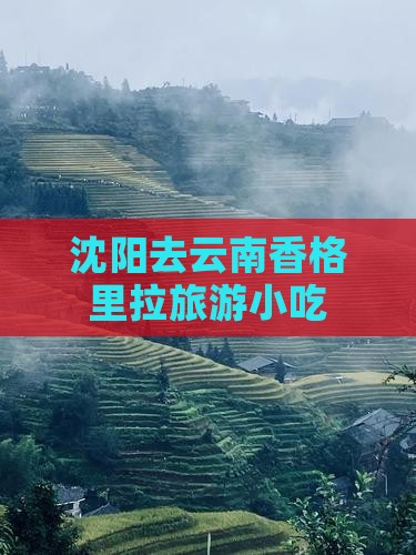 沈阳去云南香格里拉旅游小吃