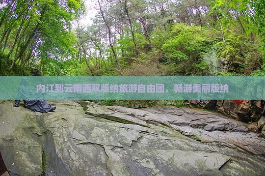 内江到云南西双版纳自由团