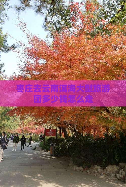 枣庄去云南洱海大型旅游团