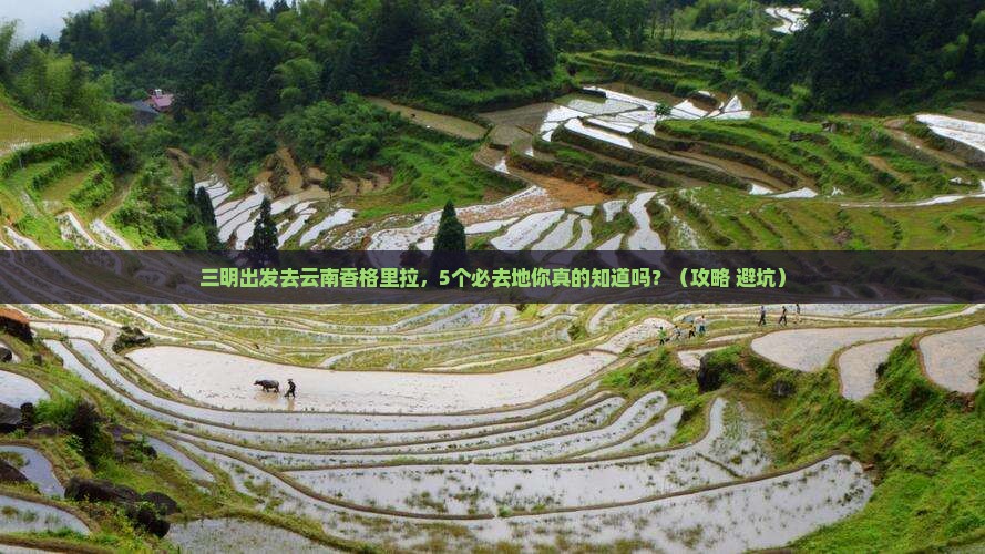 三明到云南香格里拉必去地