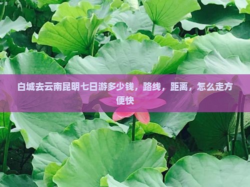 白城去云南昆明七日游