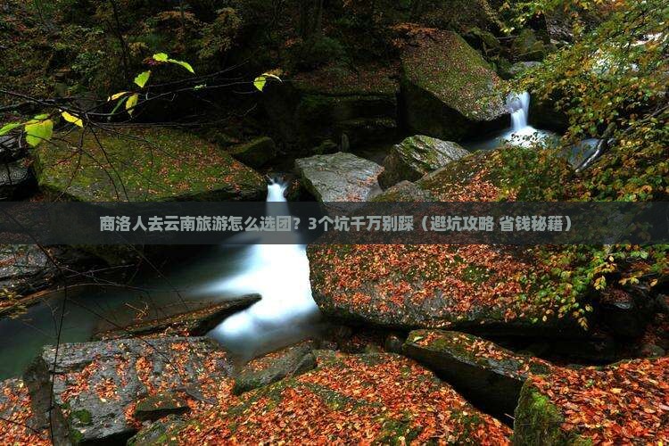 商洛去云南大型旅游团