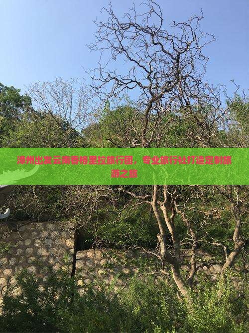 漳州出发云南香格里拉旅行团，专业旅行社打造定制旅游之旅