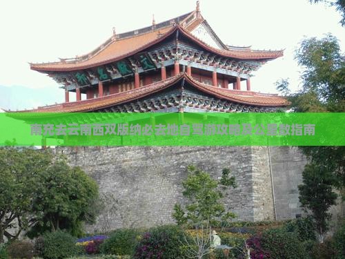 南充去云南西双版纳必去地自驾游攻略及公里数指南