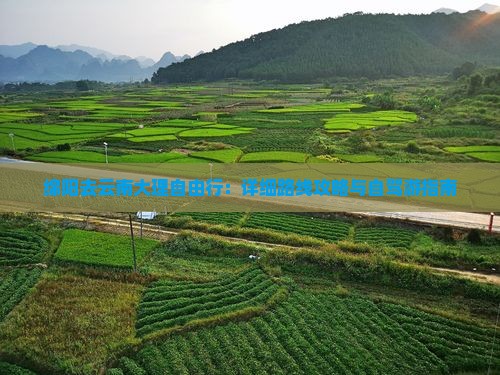 绵阳去云南大理自由行：详细路线攻略与自驾游指南