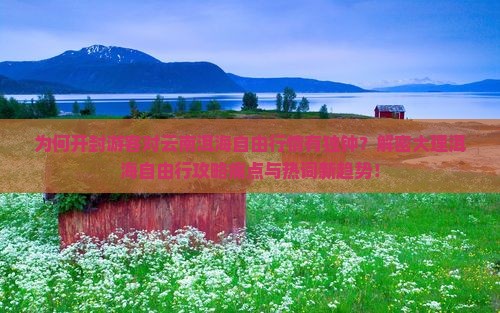 为何开封游客对云南洱海自由行情有独钟？解密大理洱海自由行攻略痛点与热词新趋势！