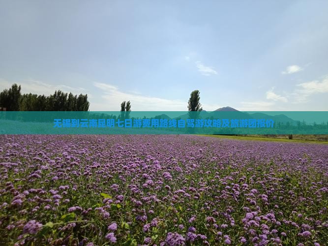 无锡到云南昆明七日游费用路线自驾游攻略及旅游团报价