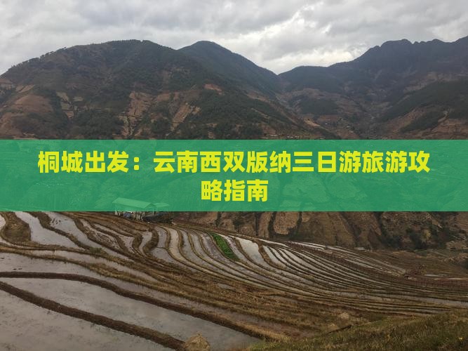 桐城出发：云南西双版纳三日游旅游攻略指南