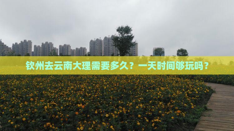 钦州去云南大理需要多久？一天时间够玩吗？