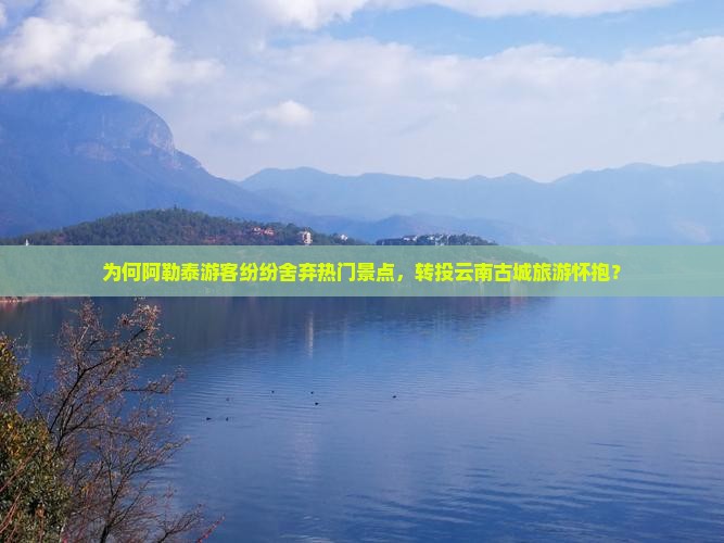 为何阿勒泰游客纷纷舍弃热门景点，转投云南古城旅游怀抱？