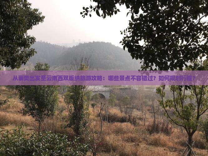 从襄樊出发至云南西双版纳旅游攻略：哪些景点不容错过？如何规划行程？
