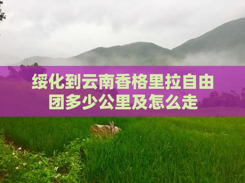 绥化到云南香格里拉自由团多少公里及怎么走