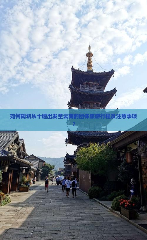 如何规划从十堰出发至云南的团体旅游行程及注意事项？
