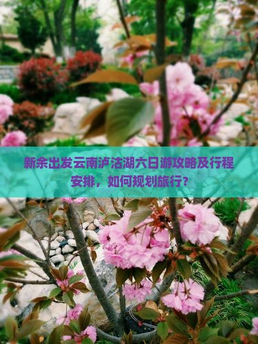 新余出发云南泸沽湖六日游攻略及行程安排，如何规划旅行？