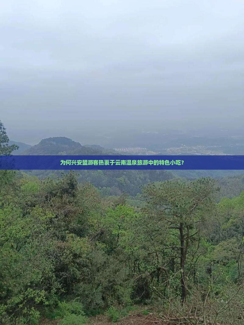 为何兴安盟游客热衷于云南温泉旅游中的特色小吃？