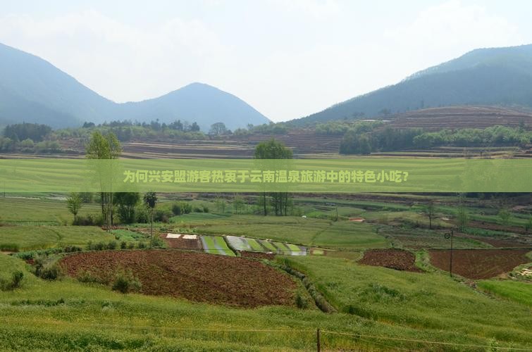 为何兴安盟游客热衷于云南温泉旅游中的特色小吃？