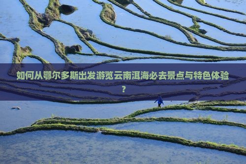 如何从鄂尔多斯出发游览云南洱海必去景点与特色体验？