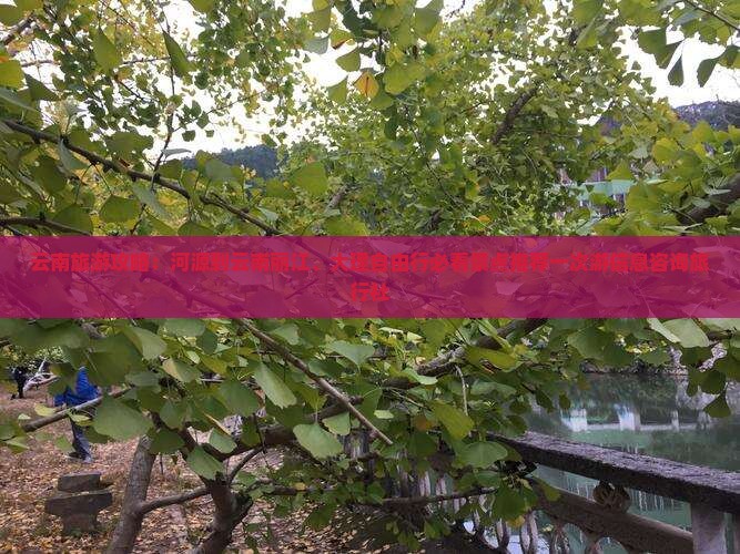 云南旅游攻略：河源到云南丽江、大理自由行必看景点推荐一次游信息咨询旅行社