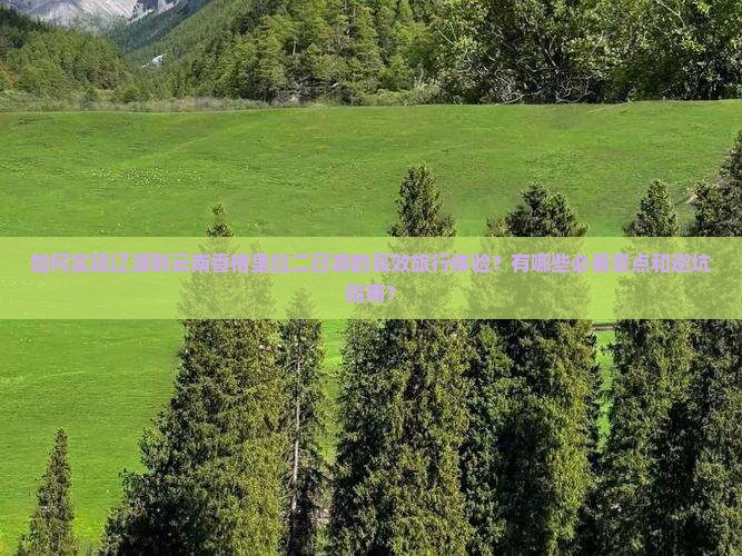 如何实现辽源到云南香格里拉二日游的高效旅行体验？有哪些必看景点和避坑指南？