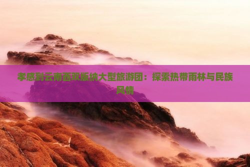 孝感到云南西双版纳大型旅游团：探索热带雨林与民族风情