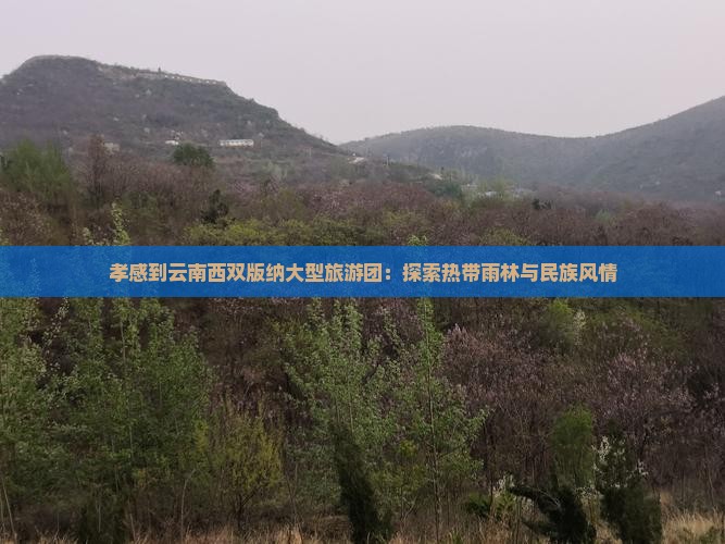 孝感到云南西双版纳大型旅游团：探索热带雨林与民族风情
