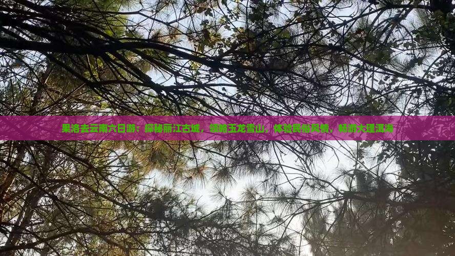 果洛去云南六日游：探秘丽江古城，领略玉龙雪山，体验民俗风情，畅游大理洱海