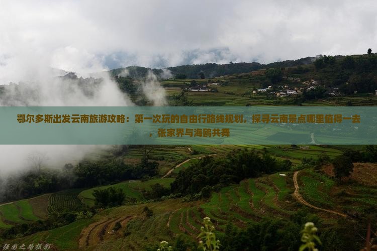 鄂尔多斯出发云南旅游攻略：第一次玩的自由行路线规划，探寻云南景点哪里值得一去，张家界与海鸥共舞